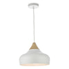 Gaucho 1 Light Pendant White by Dar Lighting
