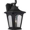 Bedford 1 Light Large Wall Lantern - Quoizel