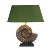 Ammonite Table Lamp Bronze Base Only by David Hunt Lighting
